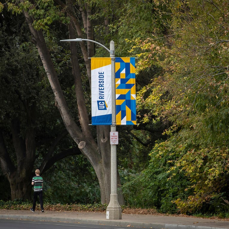 winter term newsletter banner