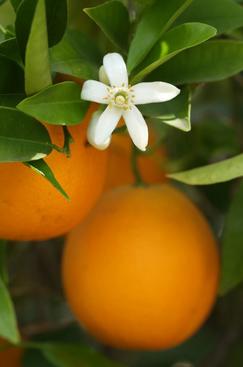 spring newsletter photo1