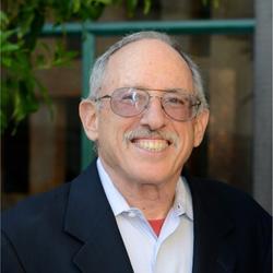 David Shulman portrait