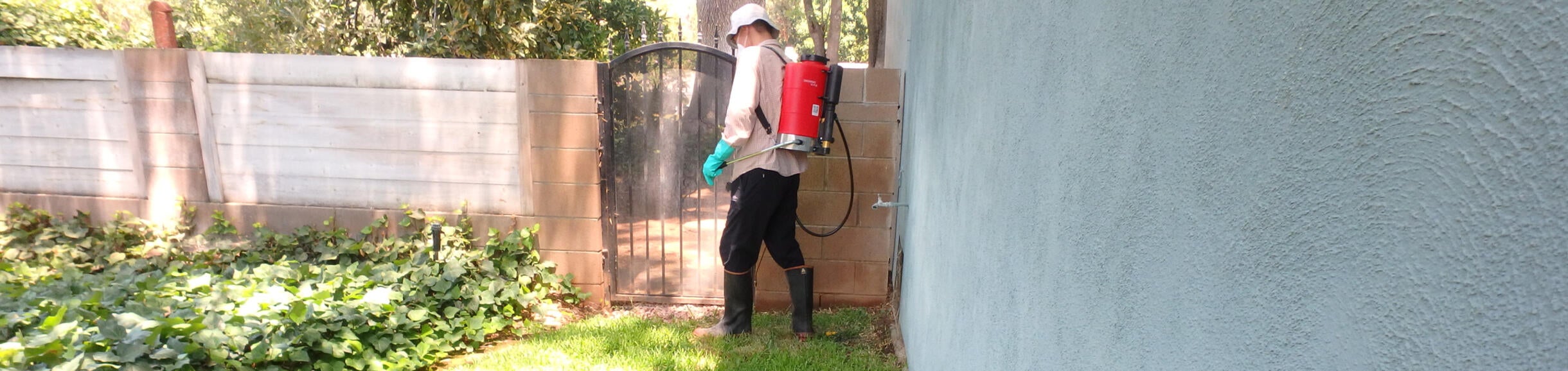 Ant spray treatment around structure