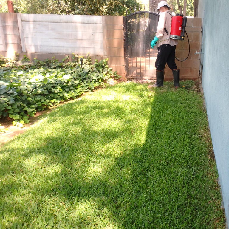 Ant spray treatment around structure