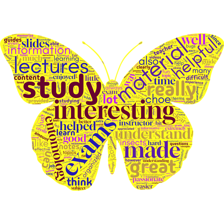 ENTM010 Spring 2025 course eval wordcloud