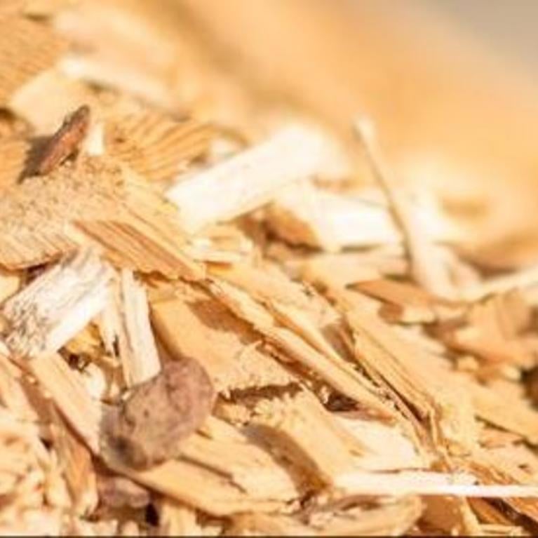 biomass