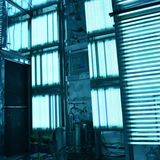 APL Chamber
