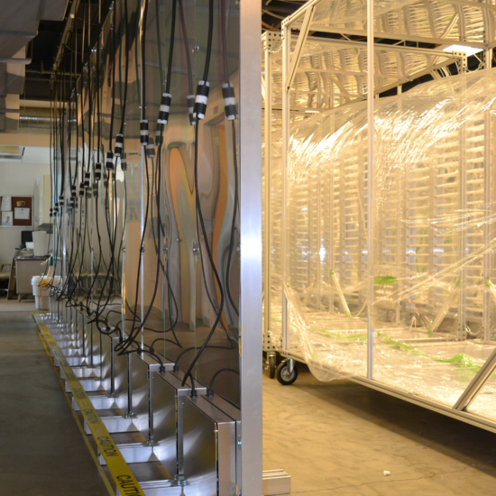 APL Chamber