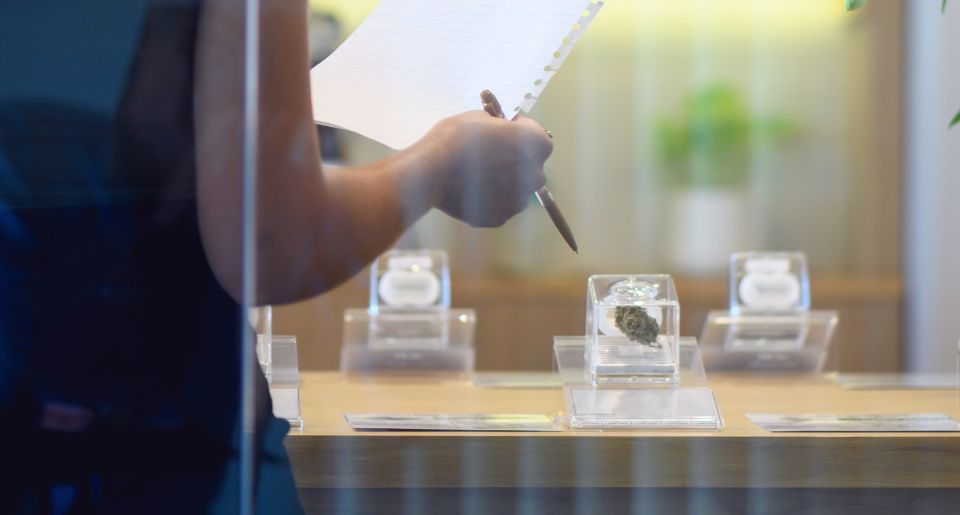 Choosing cannabis buds on display in store medicinal marijuana