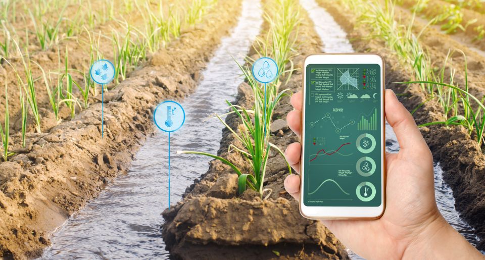 Hand holding a cell phone receiving technical data for an agricultural field