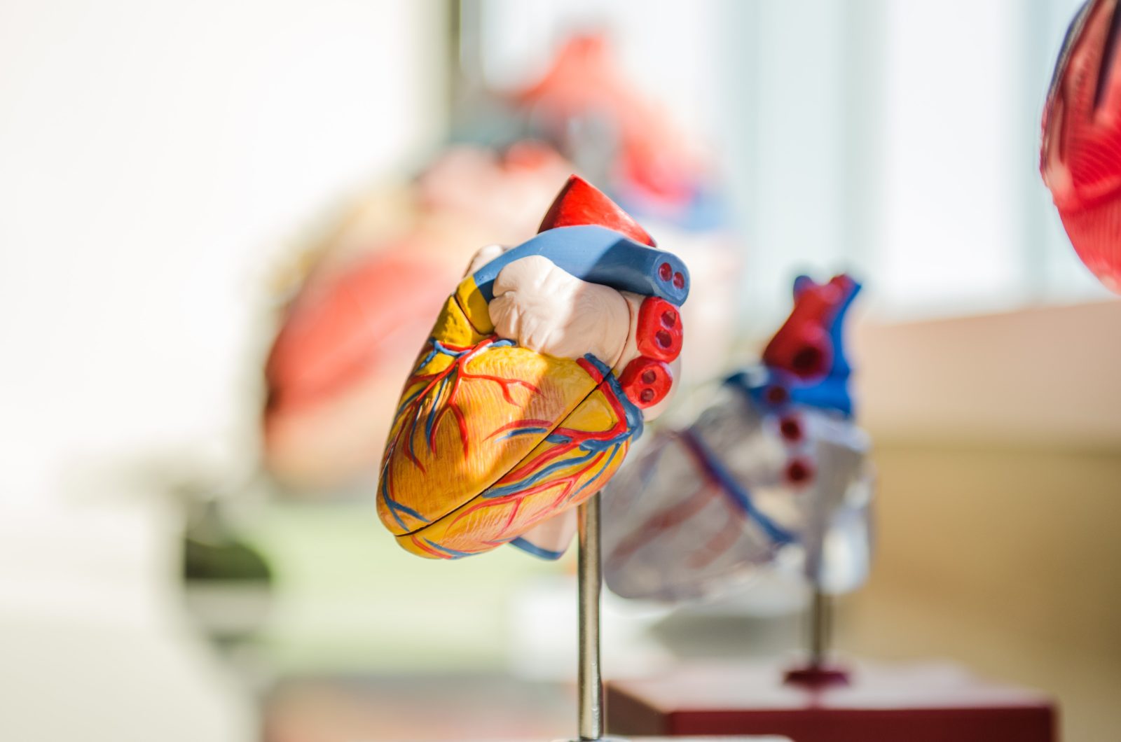 Heart Disease and Stroke featured image
