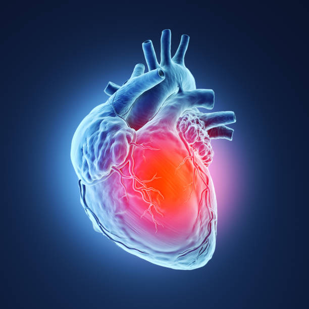 American Heart Month featured image