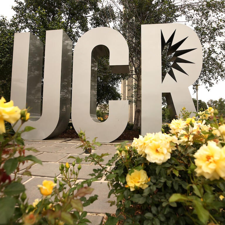 ucr roses