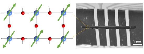 spin ladder microrod