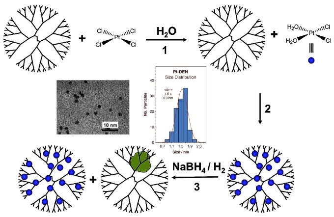 proj03fig4-dendrimer-scheme